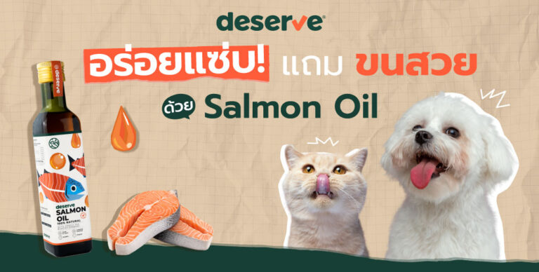 จากขนแห้งเป็นขนเงา ด้วยตัวช่วยง่ายๆ กับ Deserve Salmon Oil น้ำมันปลาแซลมอน100%
